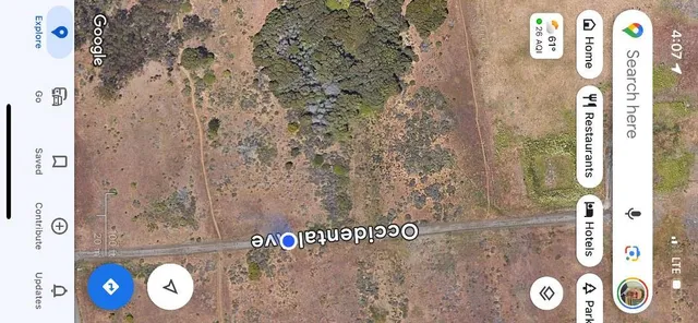 a close up of a plant