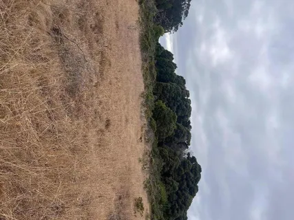 a view of a lake with houses