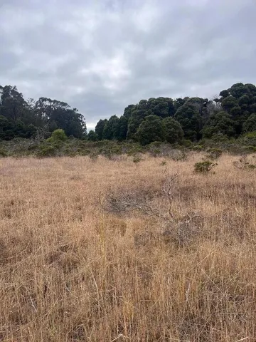 a view of mountain with lake view