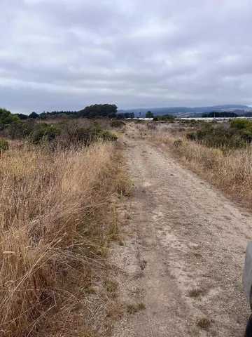 a view of a lake with houses in the back