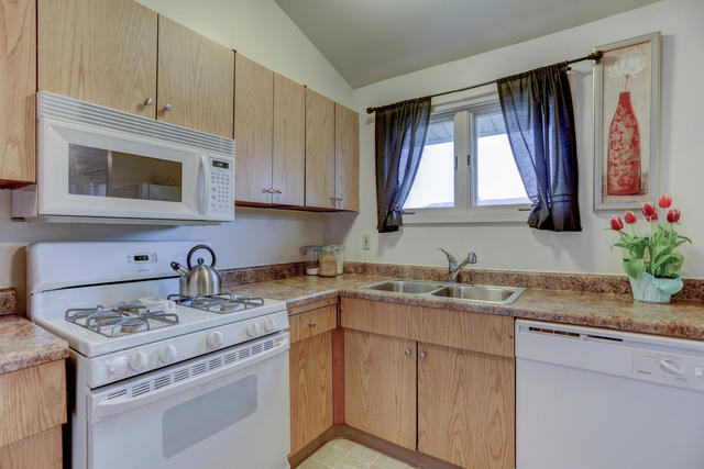 1530 Collier Avenue Rantoul, IL 61866 - Photo 4 of 29