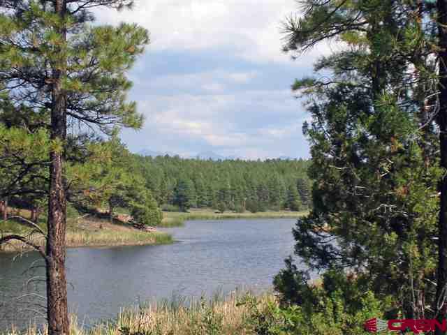 35.3 Road 35.3 Mancos, CO 81328 - Photo 3 of 10