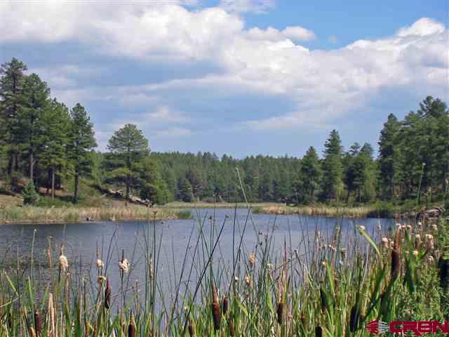 35.3 Road 35.3 Mancos, CO 81328 - Photo 4 of 10