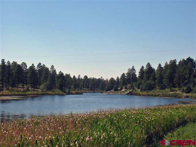 35.3 Road 35.3 Mancos, CO 81328 - Photo 5 of 10