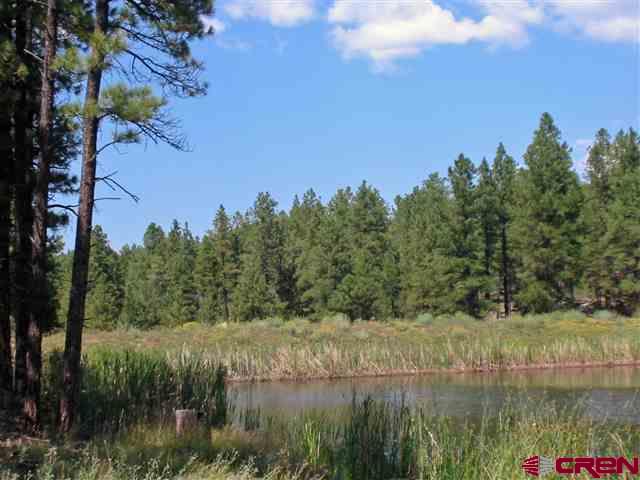 35.3 Road 35.3 Mancos, CO 81328 - Photo 6 of 10