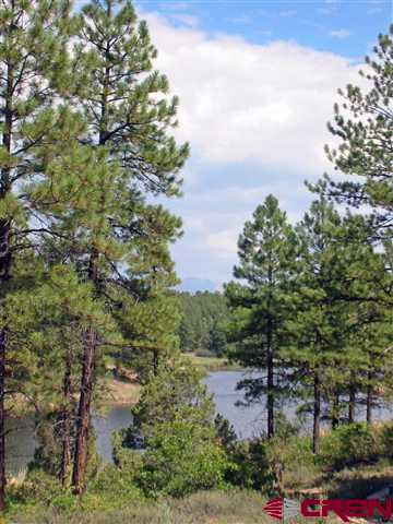 35.3 Road 35.3 Mancos, CO 81328 - Photo 7 of 10