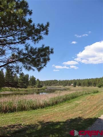 35.3 Road 35.3 Mancos, CO 81328 - Photo 8 of 10