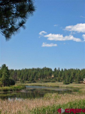 35.3 Road 35.3 Mancos, CO 81328 - Photo 9 of 10