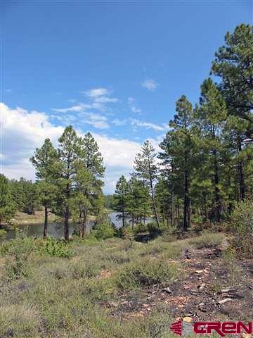 35.3 Road 35.3 Mancos, CO 81328 - Photo 10 of 10