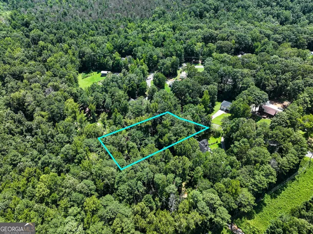 a view of a lush green forest from a balcony