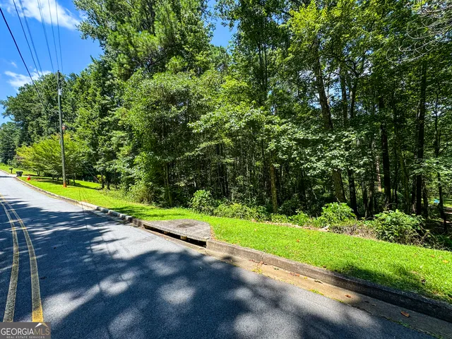 a view of a park with large trees