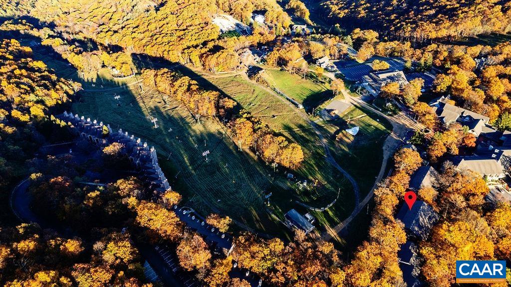 255 Timbers Roseland, VA 22967 - Photo 23 of 29