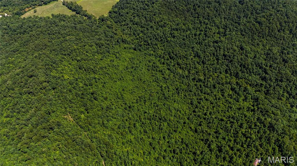 Tbd Tbd Antler Ridge Bunker, MO 63629 - Photo 9 of 26