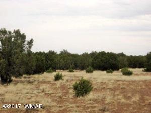 4 Concho Valley Concho, AZ 85924 - Photo 1 of 1