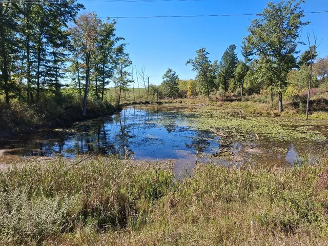 $345,000 | 9037 23 Mile Road, Evart, MI 49631