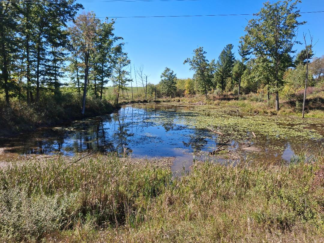 9037 23 Mile Road Evart, MI 49631 - Photo 3 of 20 RALPH 4