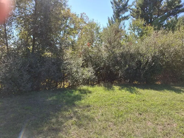 $345,000 | 9037 23 Mile Road, Evart, MI 49631