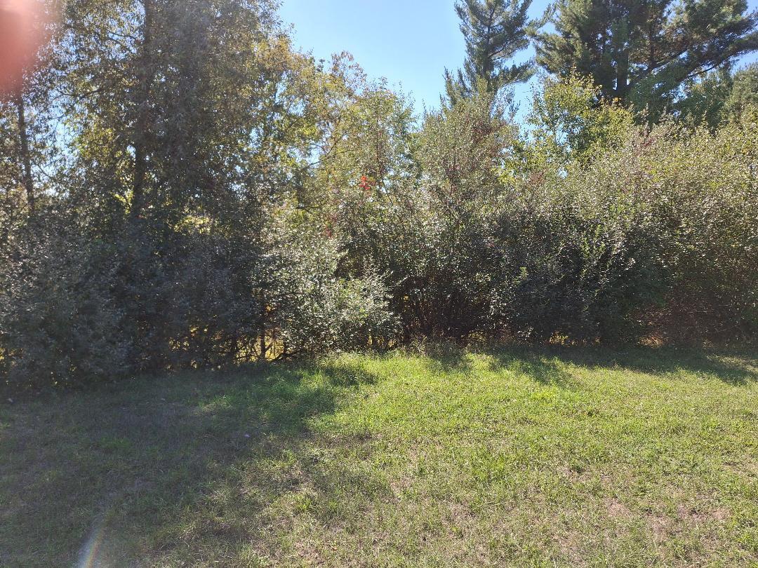 9037 23 Mile Road Evart, MI 49631 - Photo 4 of 20 RALPH 6