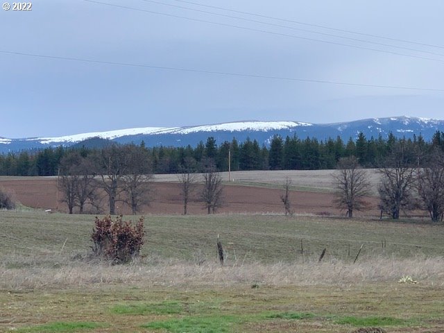 884 Counts Road Goldendale, WA 98620 - Photo 26 of 31 Gallery Image 26