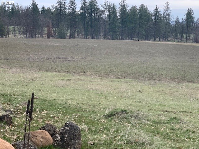 884 Counts Road Goldendale, WA 98620 - Photo 27 of 31 Gallery Image 27