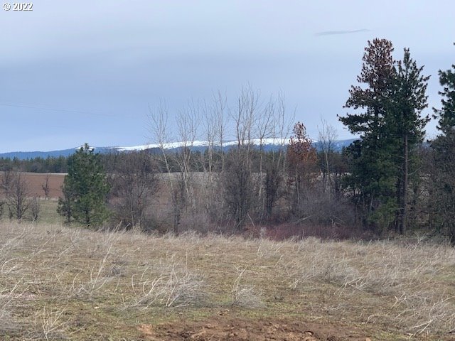 884 Counts Road Goldendale, WA 98620 - Photo 28 of 31 Gallery Image 28