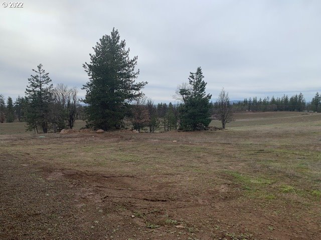 884 Counts Road Goldendale, WA 98620 - Photo 30 of 31 Gallery Image 30