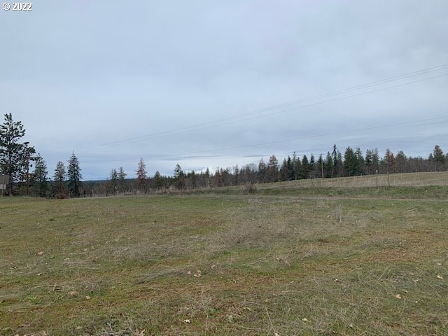 884 Counts Road Goldendale, WA 98620 - Photo 5 of 31 Gallery Image 5