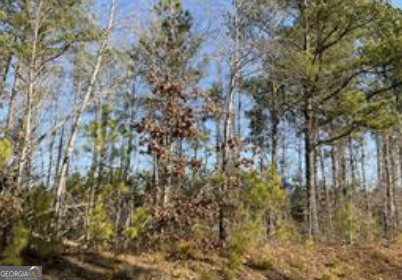 --- Steadman Road Tallapoosa, GA 30176 - Photo 1 of 1 Gallery Image 1