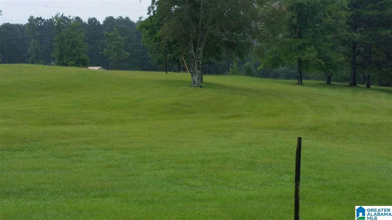 3951 County Road 940 Cullman, AL 35057 - Photo 2 of 17