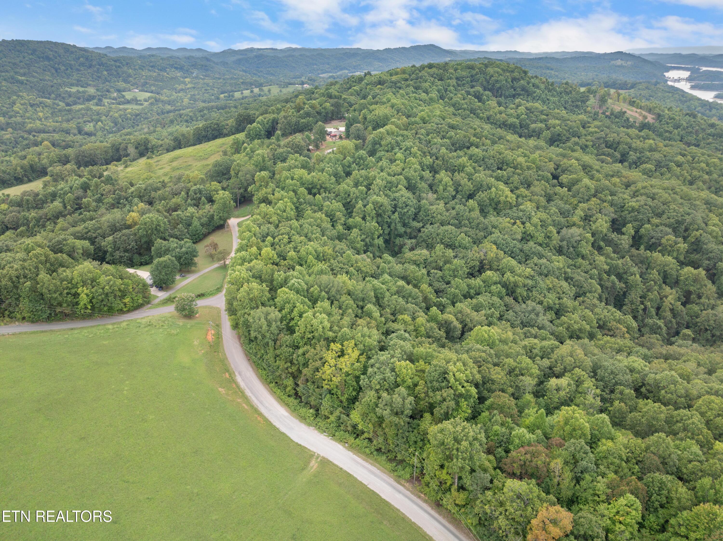 295 Bob Wright Road Maynardville, TN 37807 - Photo 3 of 34 3C1270E1-2885-4E28-BC27-43D53420E8DC