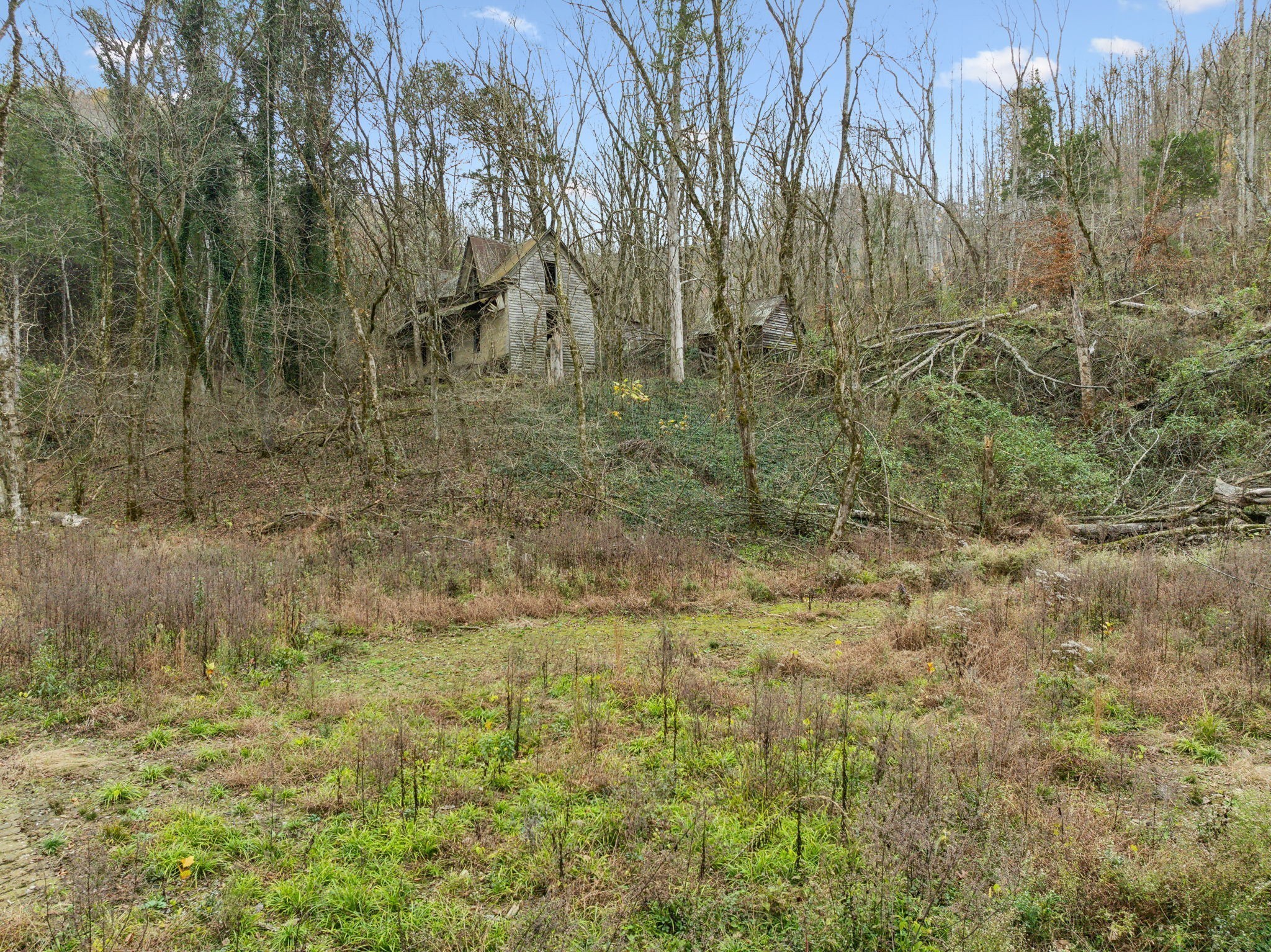 0 Long Branch Road Lancaster, TN 38569 - Photo 17 of 47 Gallery Image 17