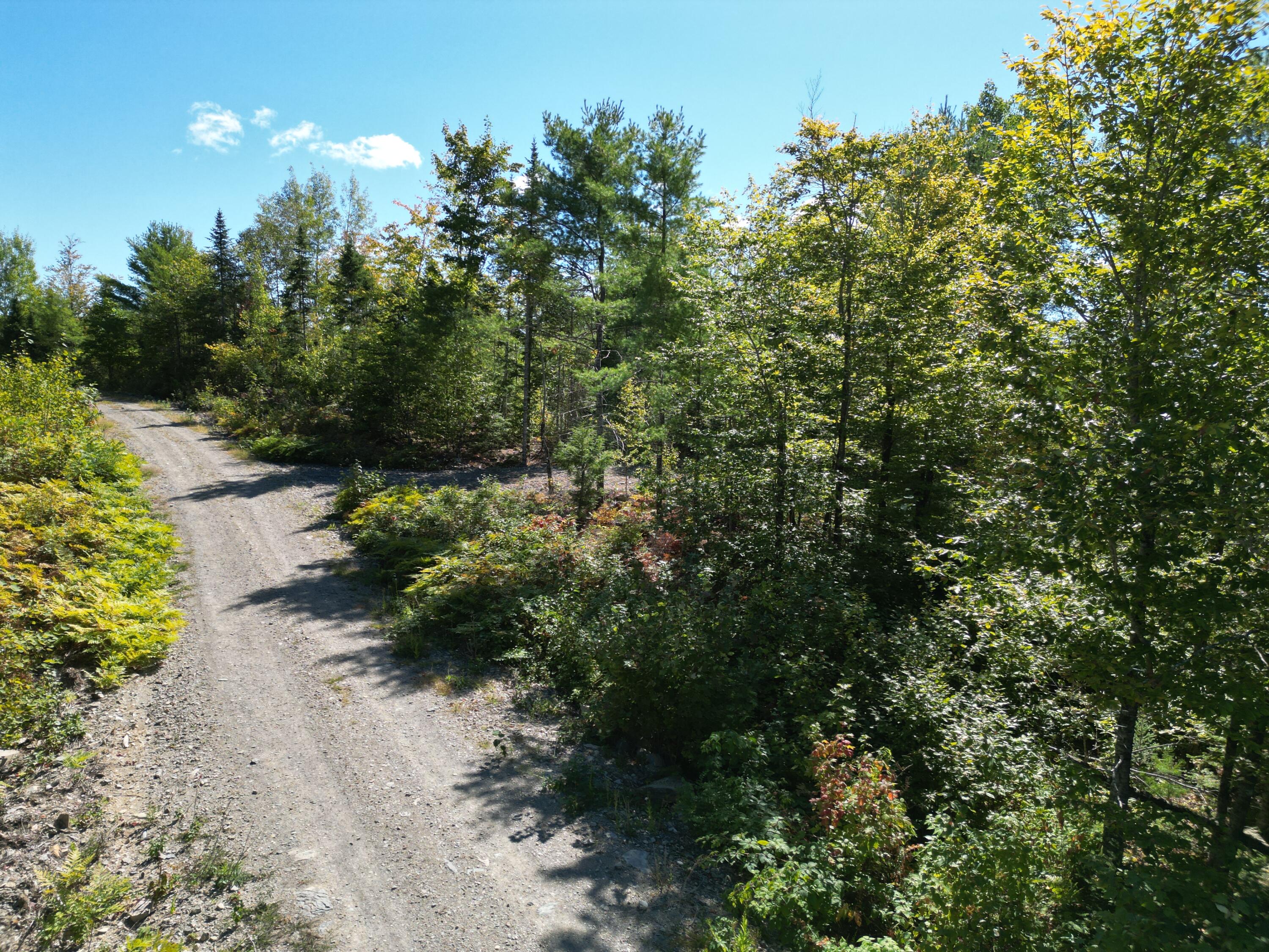 Lot 7 Riverbend Road Lowell, ME 04493 - Photo 14 of 14 DJI_0999