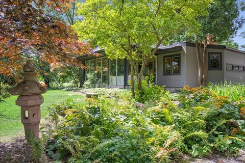 a view of a garden with plants