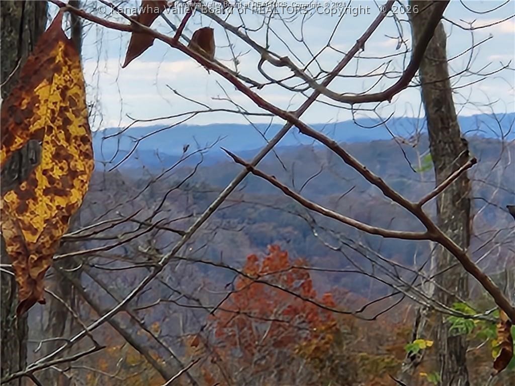 0 Beechy Road Procious, WV 25164 - Photo 19 of 29 Gallery Image 19