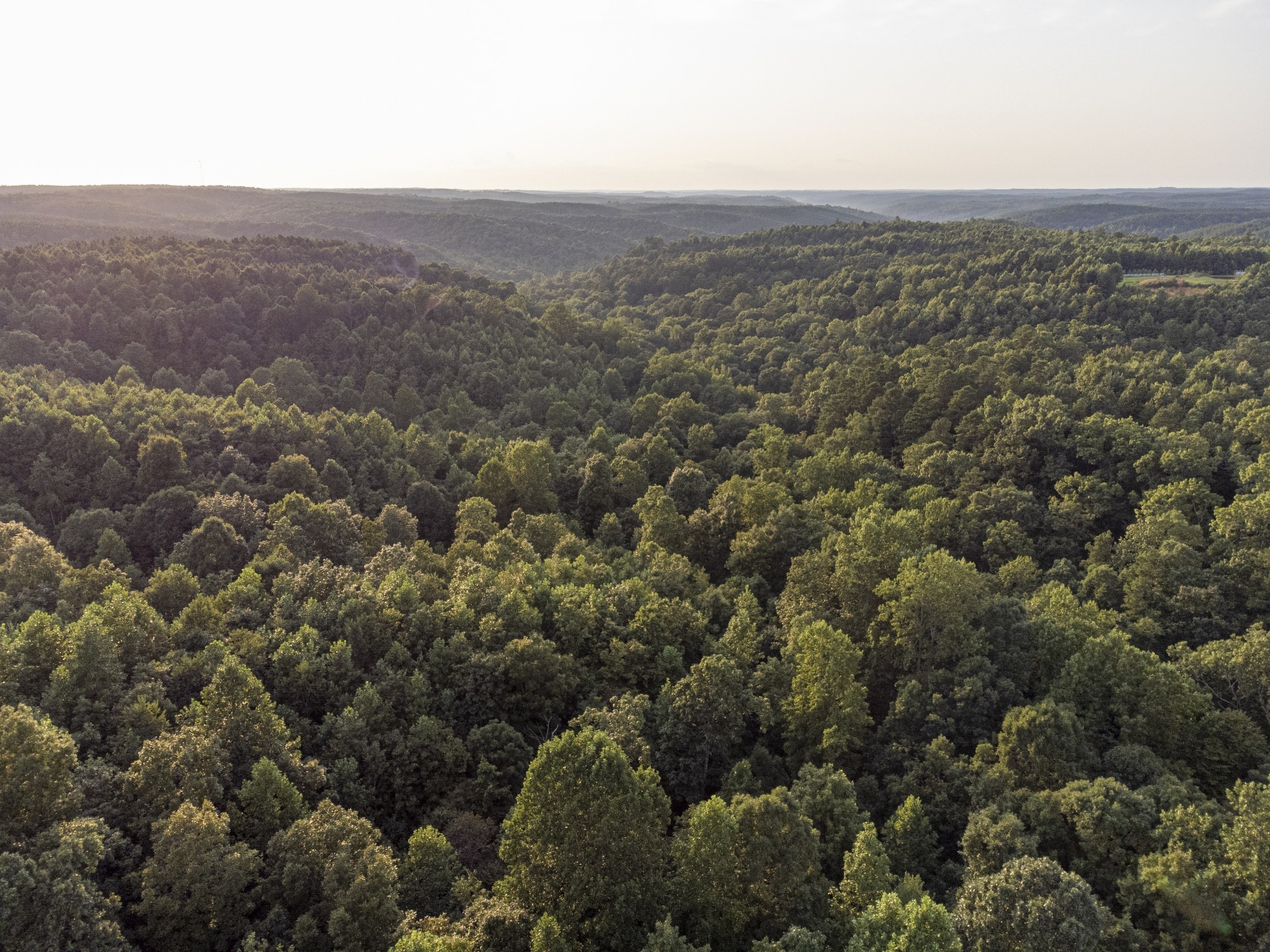 108 Eagle Drive Waynesboro, TN 38485 - Photo 29 of 29 an aerial view of town with residential houses and mountain view