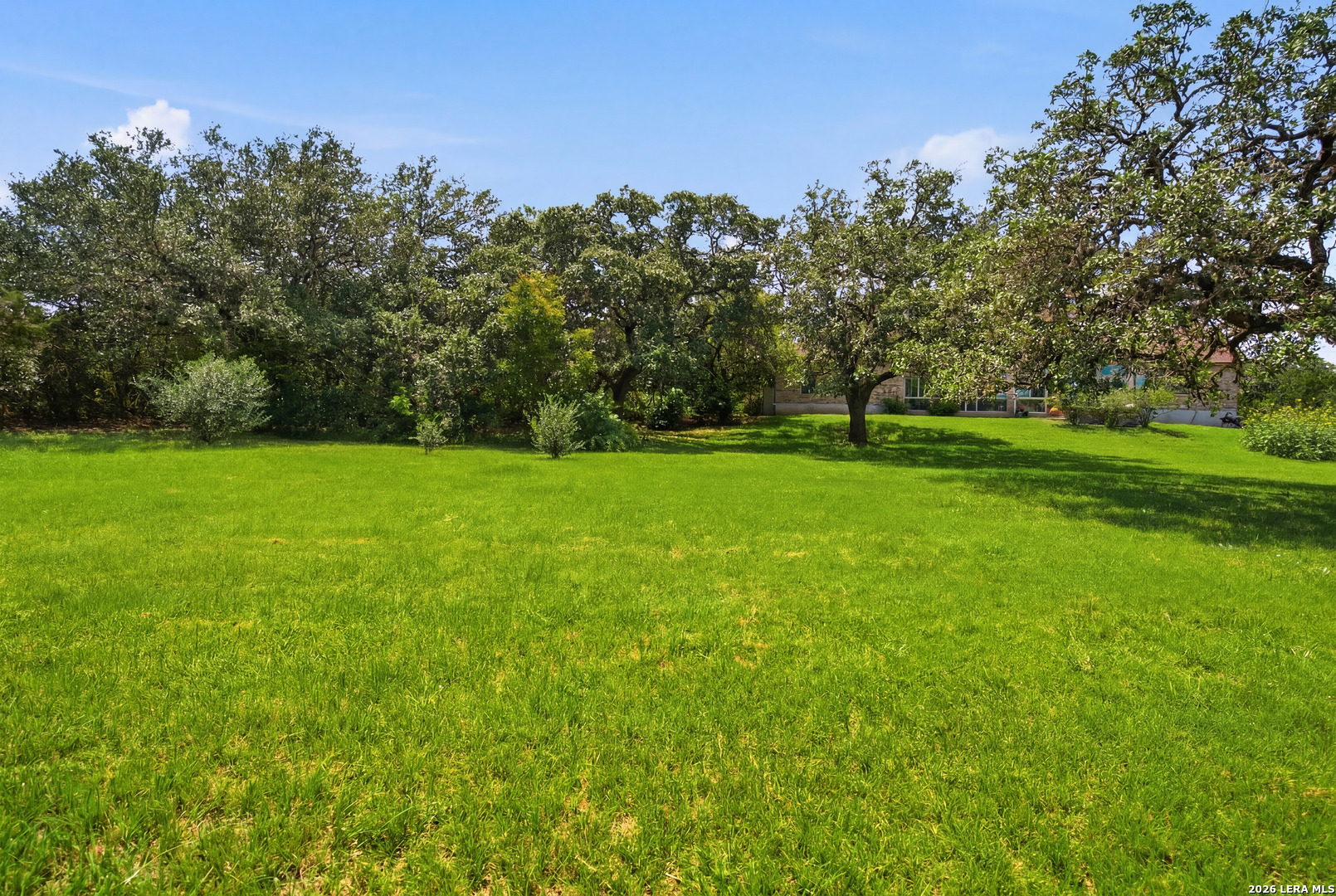30330 Saddle Ridge Drive Bulverde, TX 78163 - Photo 39 of 48