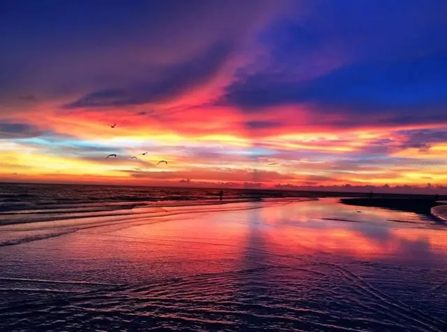 $3,495 | 5332 Nutmeg Avenue, Sarasota, FL 34231