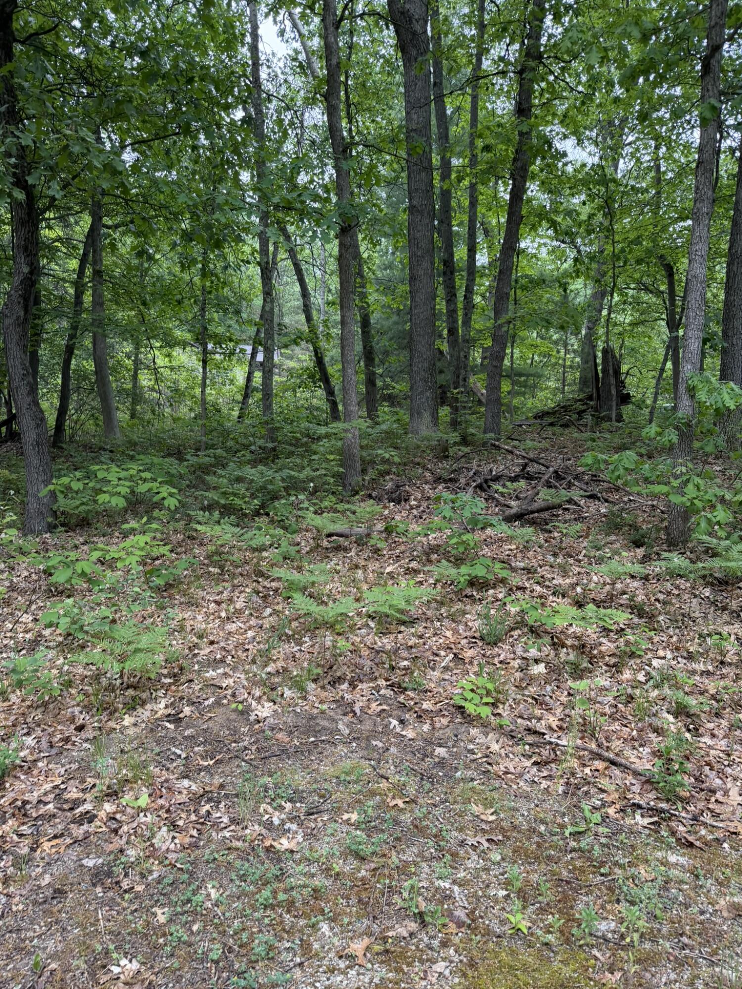 V/l East Sandra Kay Road Fountain, MI 49410 - Photo 6 of 13 cleared space3