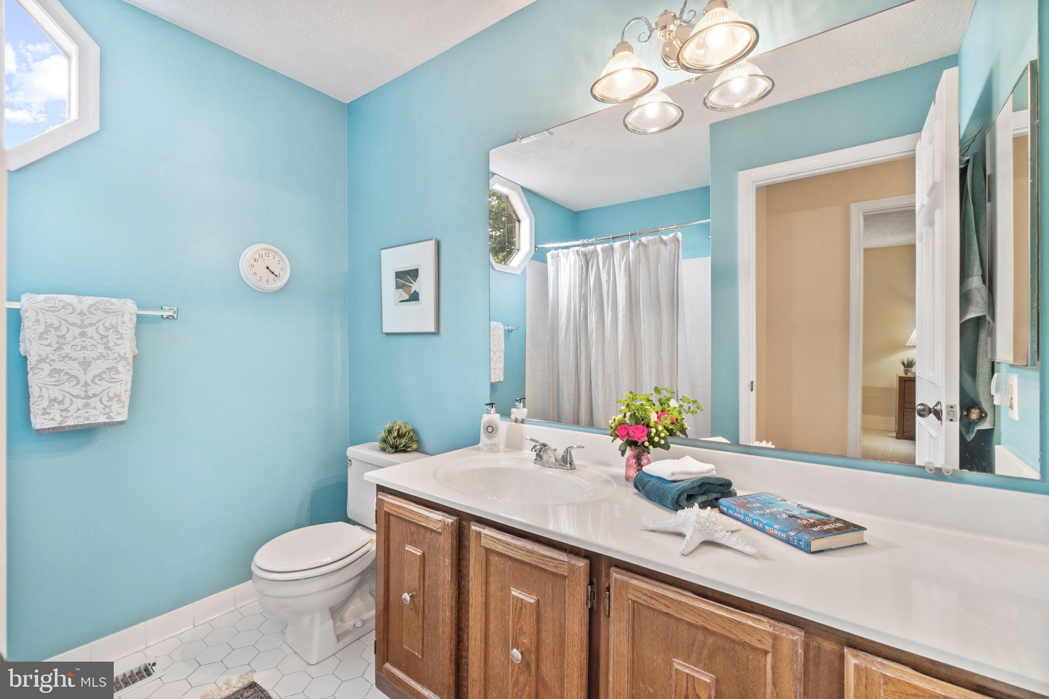 3206 Wordsworth Drive Riva, MD 21140 - Photo 25 of 49 Hall Bathroom