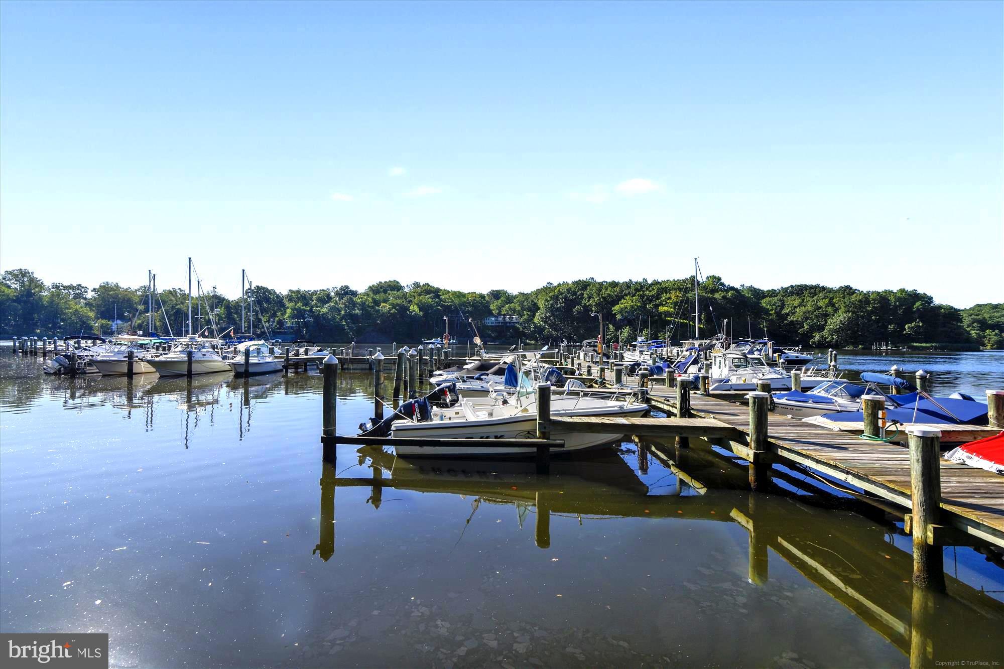 3206 Wordsworth Drive Riva, MD 21140 - Photo 46 of 49 Community Pier