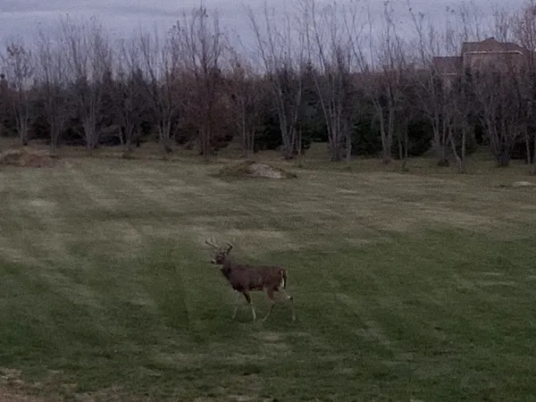 $995,000 | 18779 35 Avenue North, Hawley, MN 56549