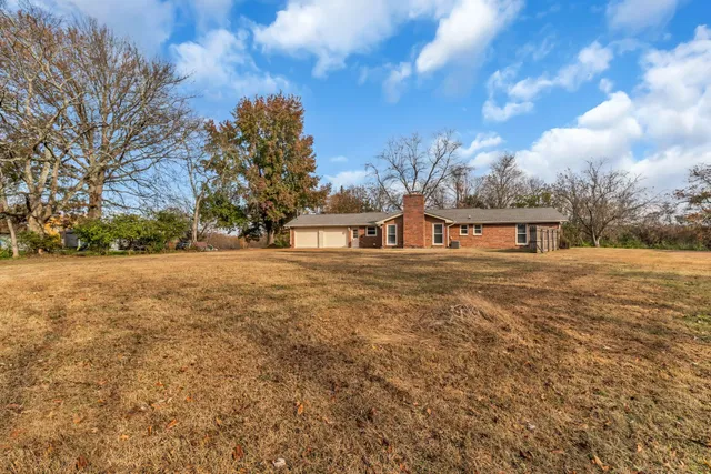 a view of road with large trees