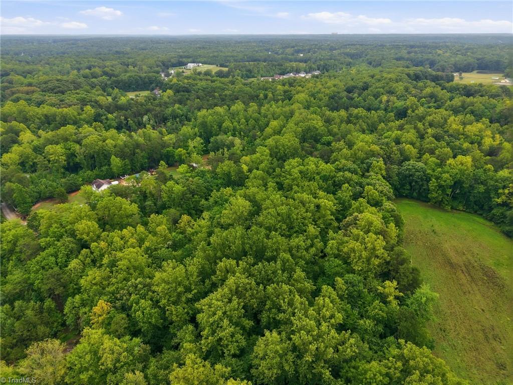 4313 Neiman Acres Road Summerfield, NC 27358 - Photo 12 of 16 Gallery Image 12
