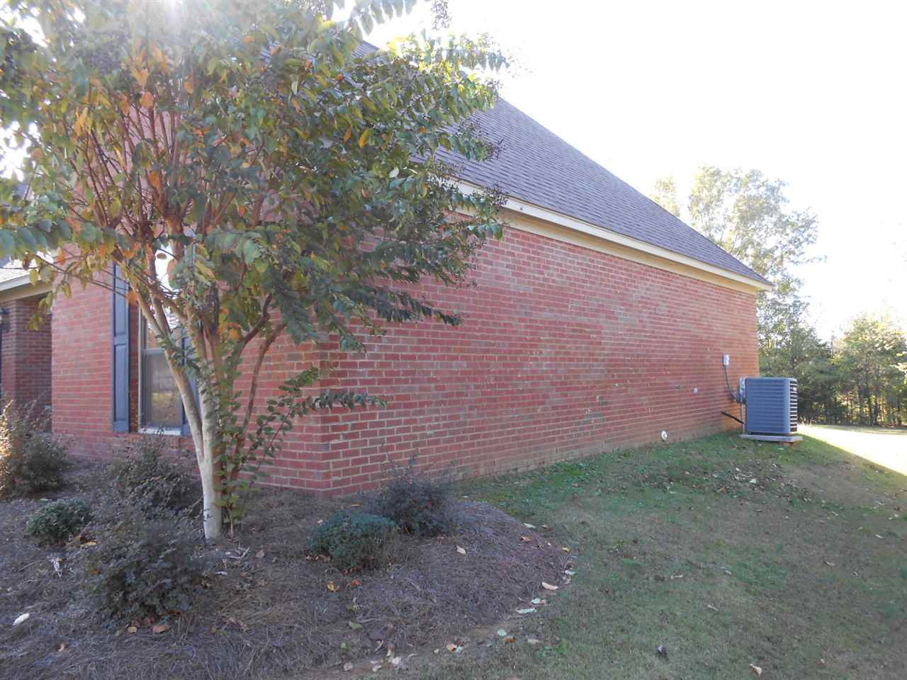 229 Trace Ridge Road Kosciusko, MS 39090 - Photo 6 of 50 Photo 6