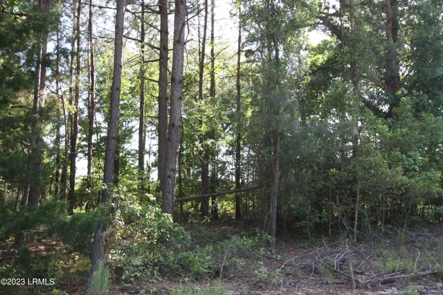 $15,000 | Tbd Tbd Westgate & Firehill Road, Walterboro, SC 29488