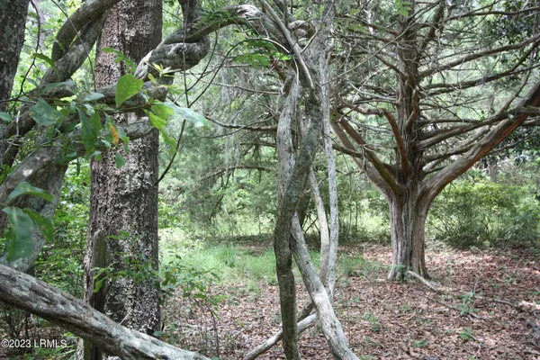 $15,000 | Tbd Tbd Westgate & Firehill Road, Walterboro, SC 29488