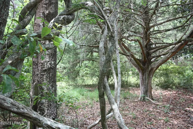 $15,000 | Tbd Tbd Westgate & Firehill Road, Walterboro, SC 29488