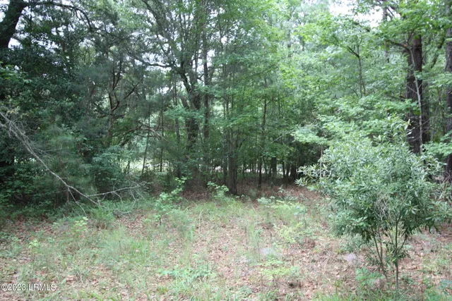 $15,000 | Tbd Tbd Westgate & Firehill Road, Walterboro, SC 29488