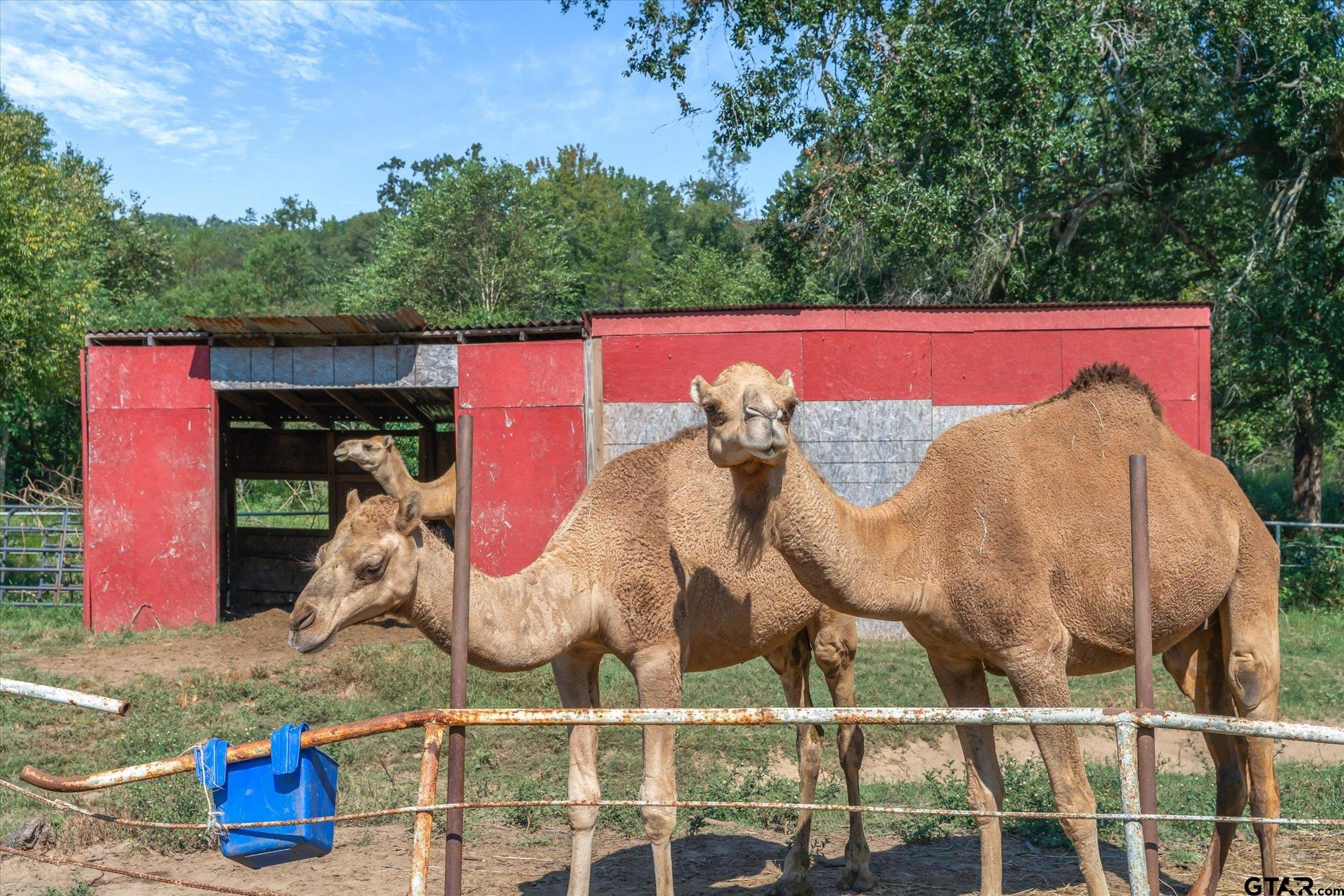 1936 Silver Maple Road Big Sandy, TX 75755 - Photo 33 of 48 a view of outdoor space and yard