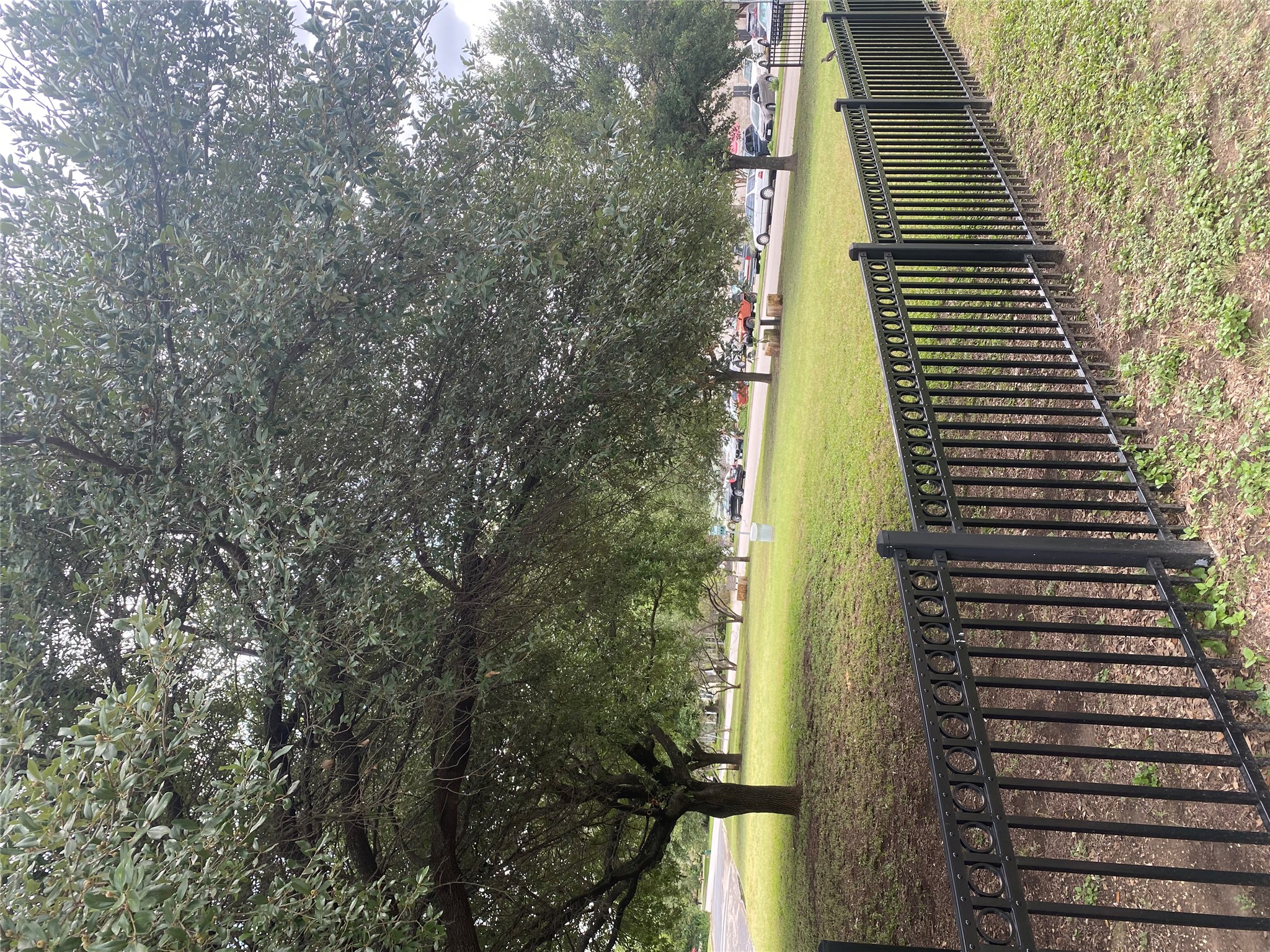 1601 Enfield Road, Unit 5 Austin, TX 78703 - Photo 19 of 20 a view of a yard with wooden fence and trees